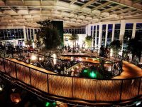 Dubai's Quranic Park - smoky, misty jungle effects  with Antari