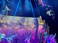 Pluma The Show Selects DAS Audio for an Immersive Circus Sound Experience